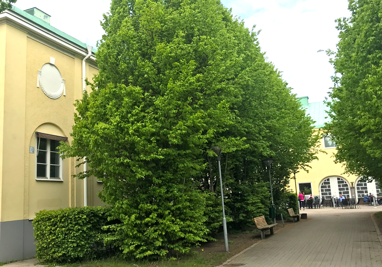 Bild på Lallerstedtska husets fasad 2022